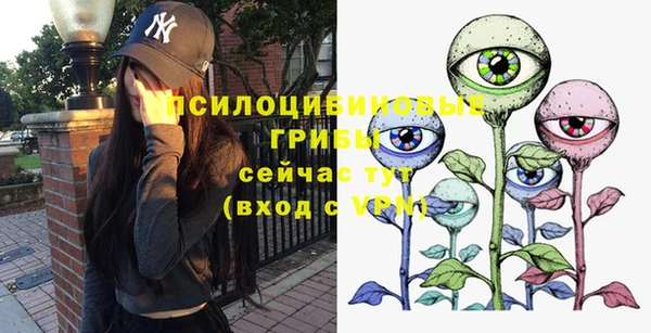 стаф Беломорск
