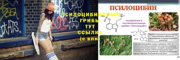 стаф Беломорск