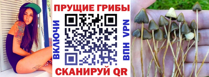 mega рабочий сайт  Няндома  Галлюциногенные грибы MAGIC MUSHROOMS 
